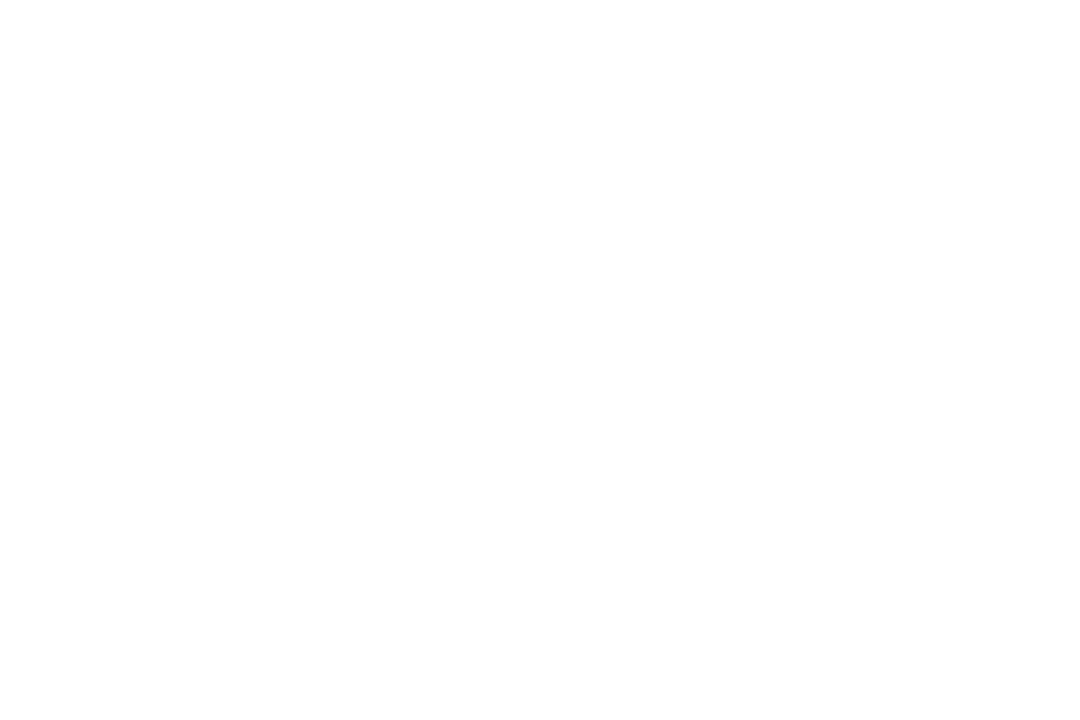 S8X-logo