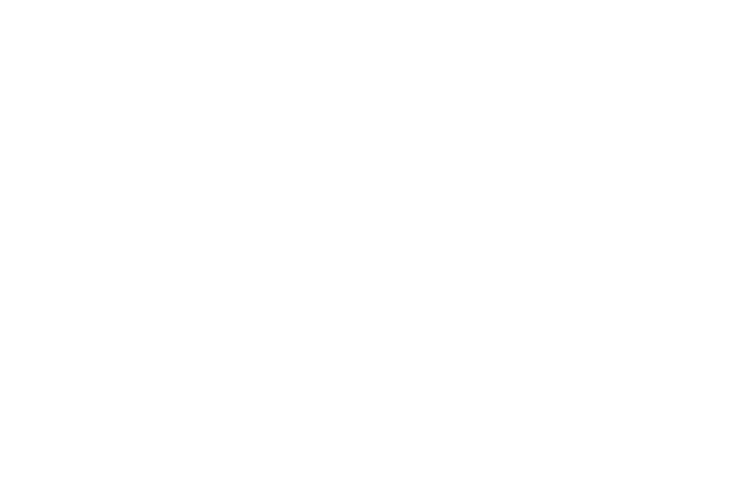 S9X-logo