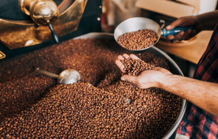 Stronghold - Nowoczesne trendy w wyposażeniu profesjonalnych palarni kawy