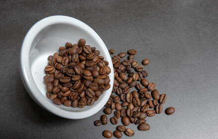 Stronghold - Arabica czy Robusta? Odkryj tajemnice dwóch najpopularniejszych gatunków kawy