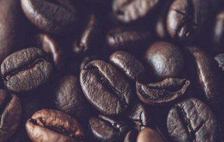 Stronghold - Dobra kawa – czyli jaka? Jak rozpoznać jakościową kawę?