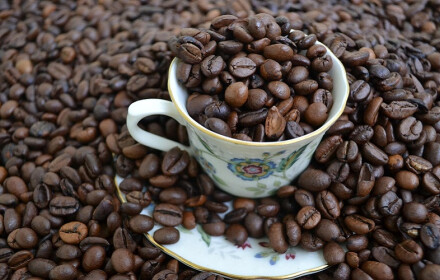 Stronghold - Automatyzacja procesu palenia kawy – czy technologia zastąpi roastmastera