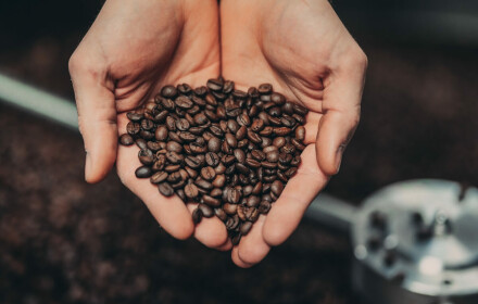 Wyposażenie palarni kawy